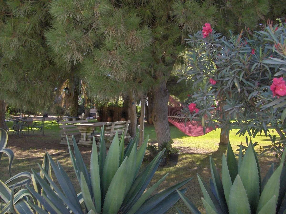 Villa Malyma Beach Front 10,000M2 Botanic Garden Zahora Dış mekan fotoğraf