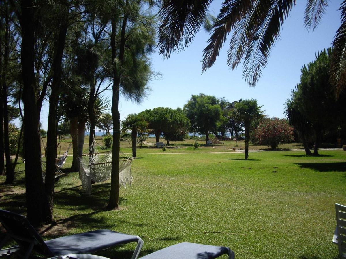 Villa Malyma Beach Front 10,000M2 Botanic Garden Zahora Dış mekan fotoğraf