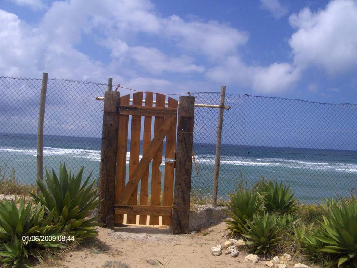 Villa Malyma Beach Front 10,000M2 Botanic Garden Zahora Dış mekan fotoğraf