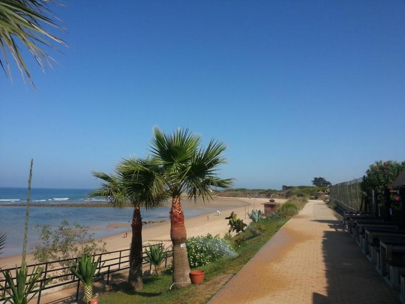 Villa Malyma Beach Front 10,000M2 Botanic Garden Zahora Dış mekan fotoğraf