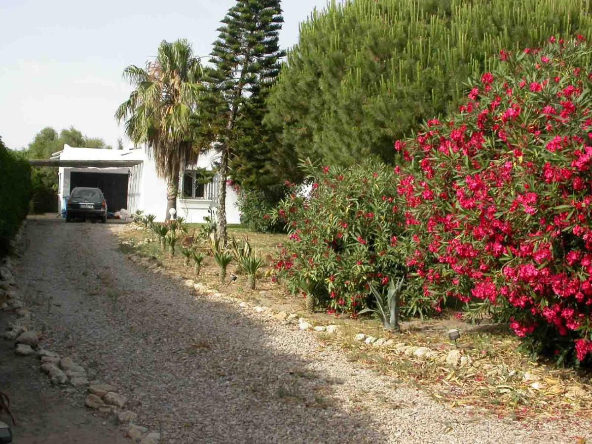 Villa Malyma Beach Front 10,000M2 Botanic Garden Zahora Dış mekan fotoğraf