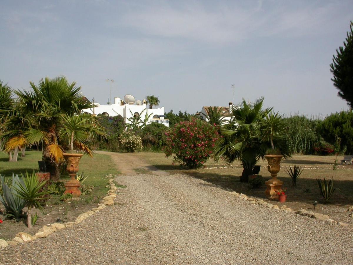 Villa Malyma Beach Front 10,000M2 Botanic Garden Zahora Dış mekan fotoğraf