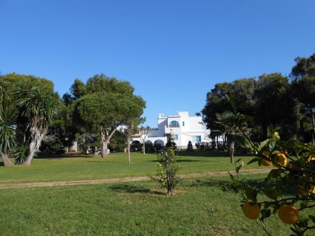 Villa Malyma Beach Front 10,000M2 Botanic Garden Zahora Dış mekan fotoğraf