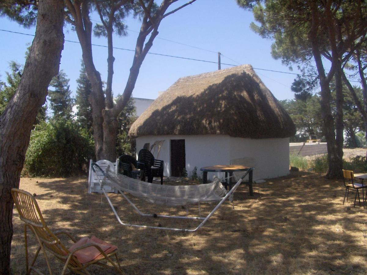 Villa Malyma Beach Front 10,000M2 Botanic Garden Zahora Dış mekan fotoğraf