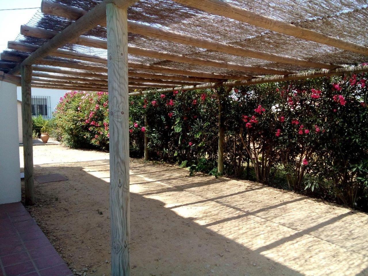 Villa Malyma Beach Front 10,000M2 Botanic Garden Zahora Oda fotoğraf
